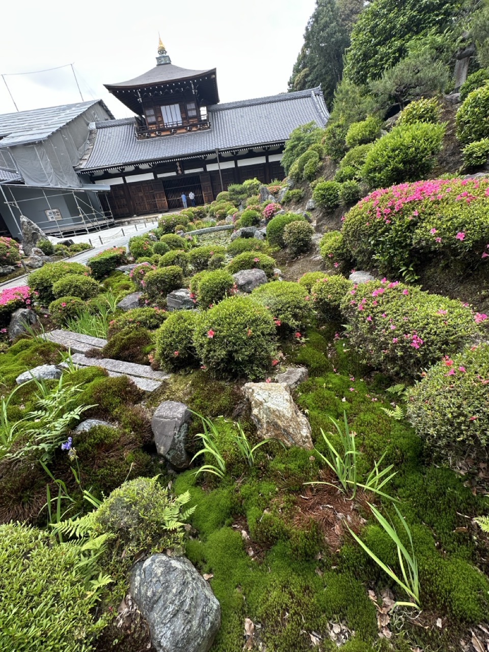 東福寺・開山堂周辺の庭園。サツキと苔と枯山水の組み合わせ