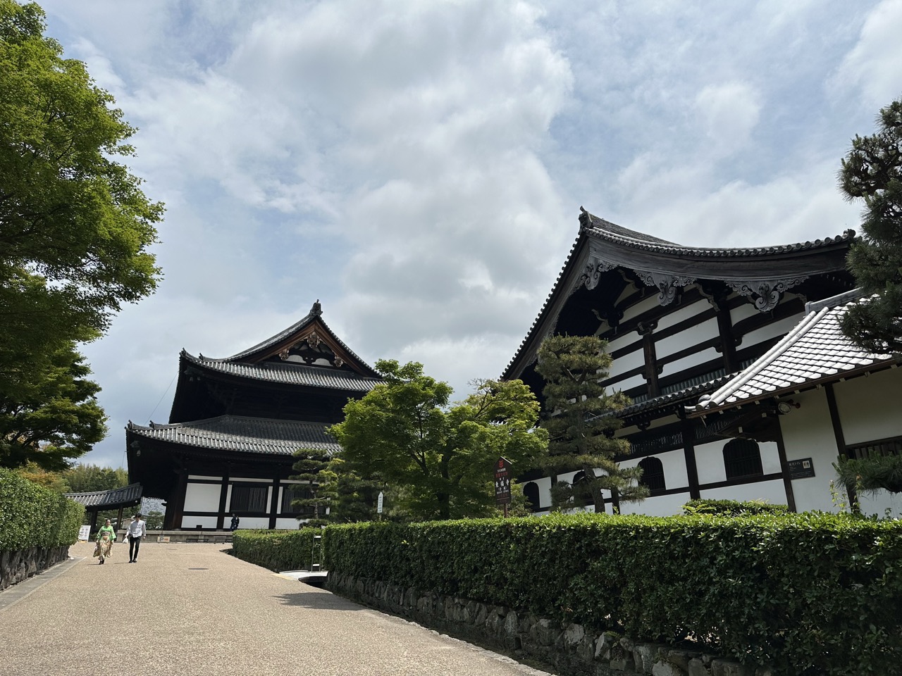 京都東福寺の本堂と禅堂などの伽藍を外から見た風景