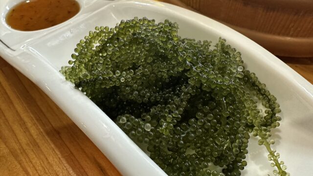 石垣島で食べた沖縄産の海ぶどう（ウミブドウ）