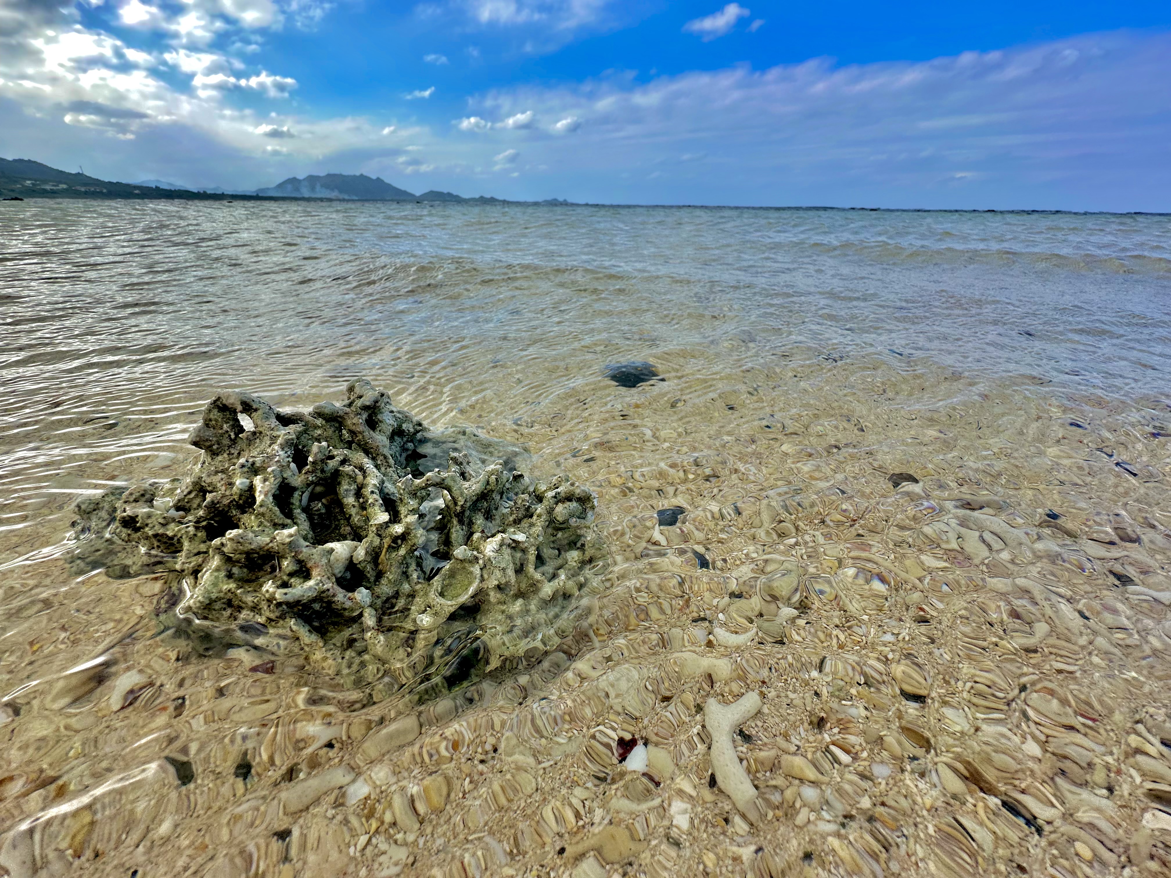 沖縄の透明度の高い浅瀬とサンゴ