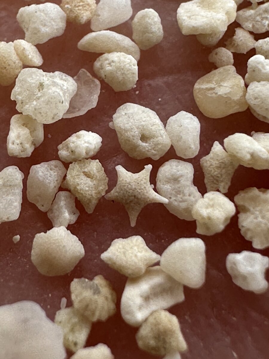 竹富島の星砂アップ