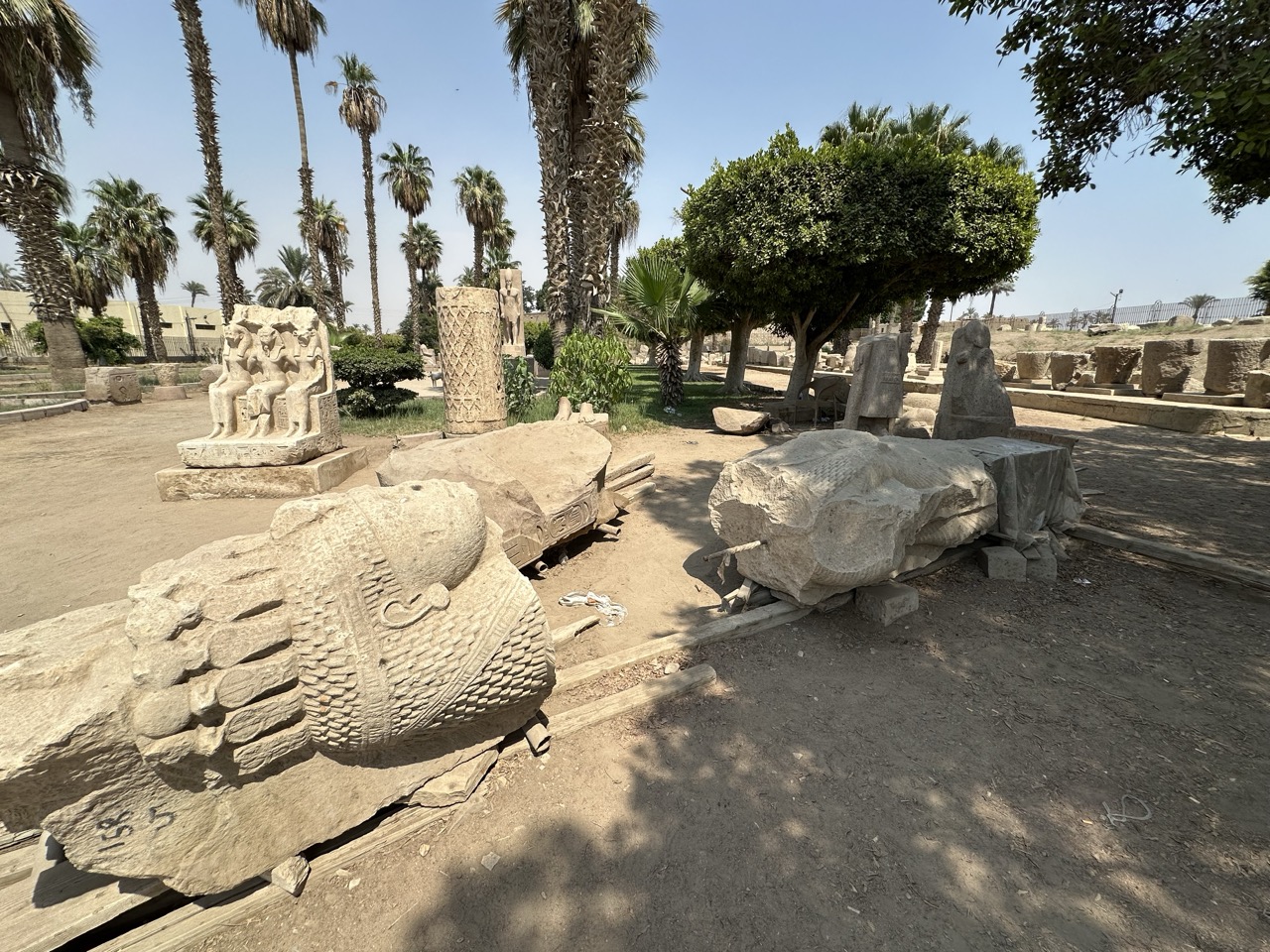 メンフィスの野外に並ぶ古代エジプトの石像