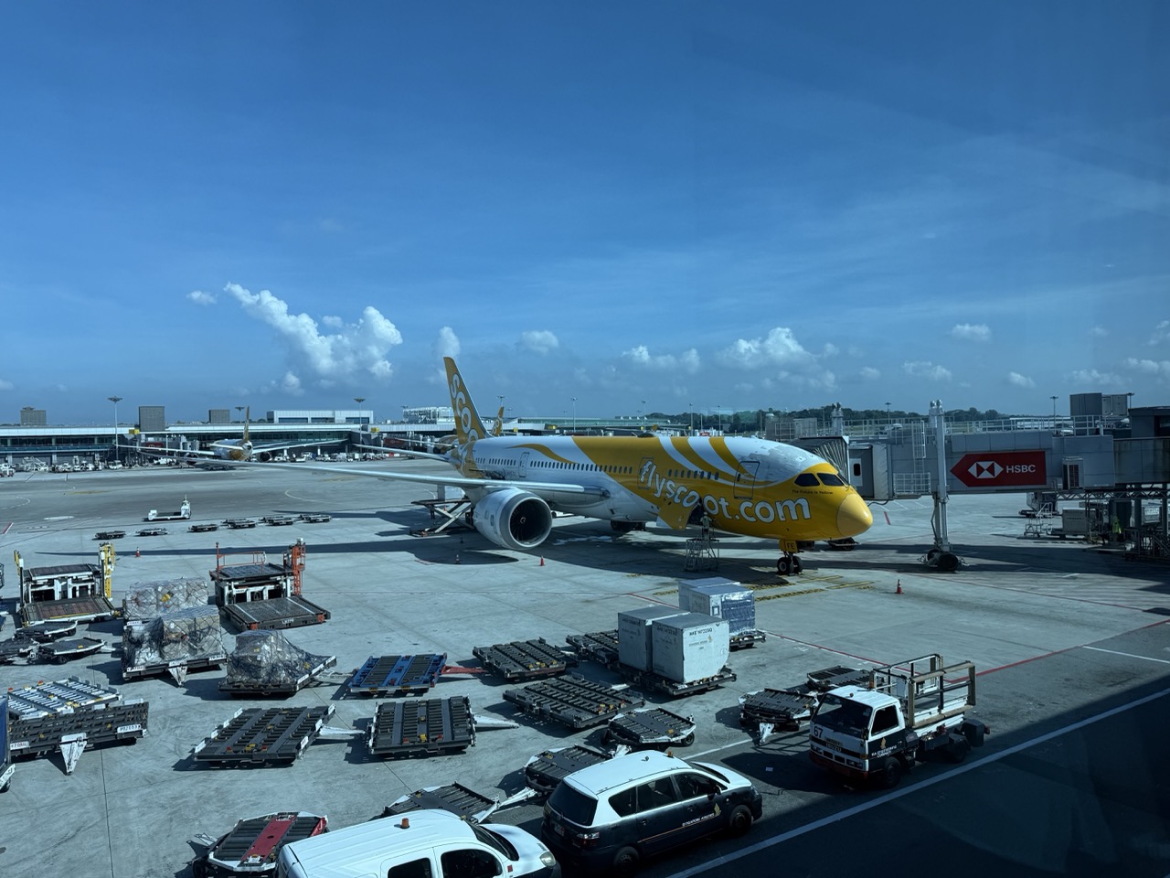 チャンギ空港に駐機するスクートのボーイング787