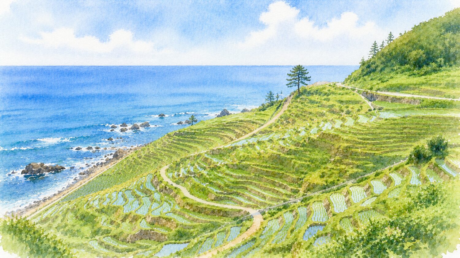 白米千枚田と日本海を水彩タッチで描いたイメージ