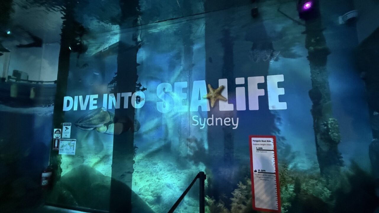 館内ロビーの「DIVE INTO SEA LIFE Sydney」大型ビジュアル