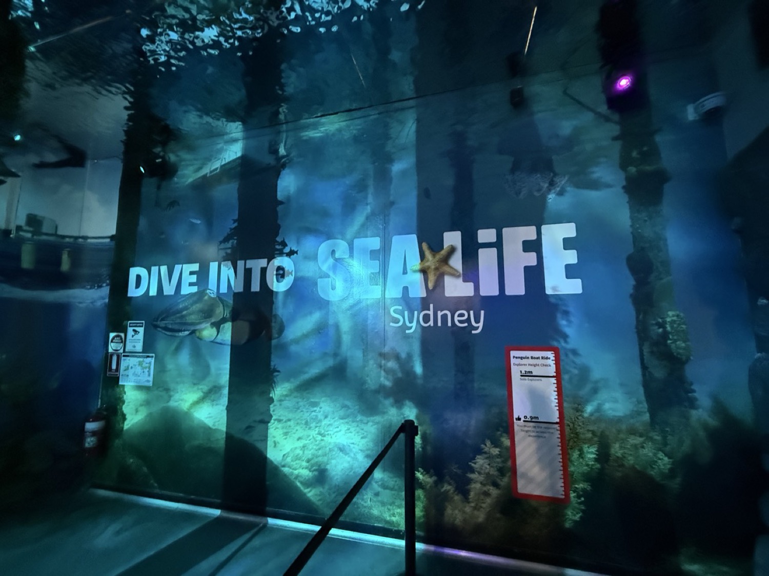 館内ロビーの「DIVE INTO SEA LIFE Sydney」大型ビジュアル
