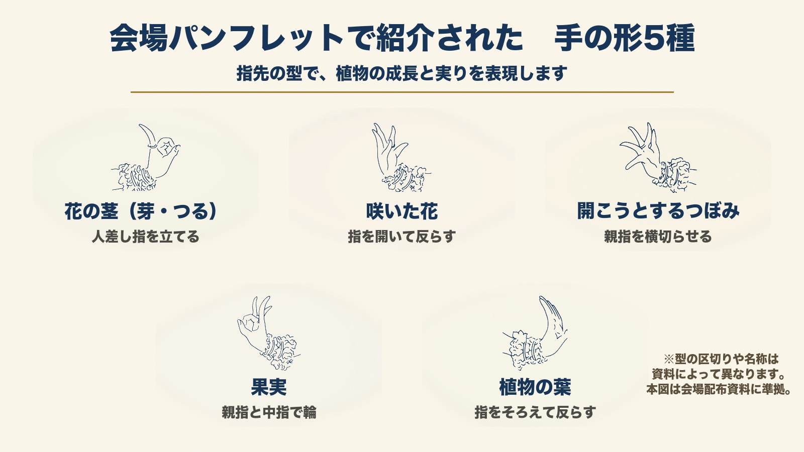会場パンフレットの原図に基づき花の茎・咲いた花・開こうとするつぼみ・果実・植物の葉の正確な指の形を示す図解