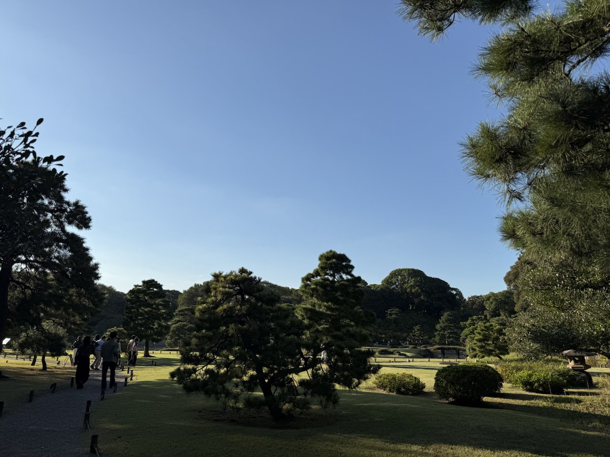 樹木と芝生の向こうに広がる六義園の大泉水