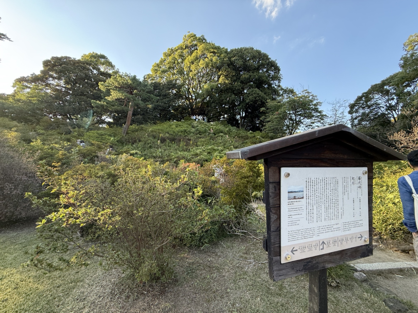 六義園の藤代峠の案内板と木々に覆われた築山