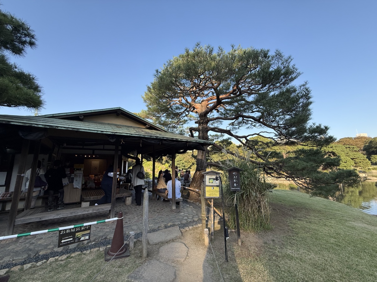 六義園の大泉水沿いに建つ吹上茶屋と吹上松